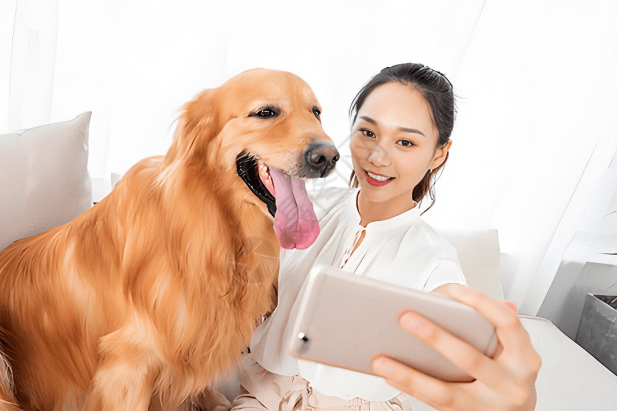 业链分析：现状、痛点、需求、趋势CQ9电子app宠物食品行业产