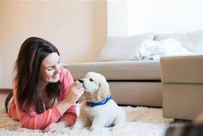 元的宠物食品市场进入价值驱动型转型CQ9