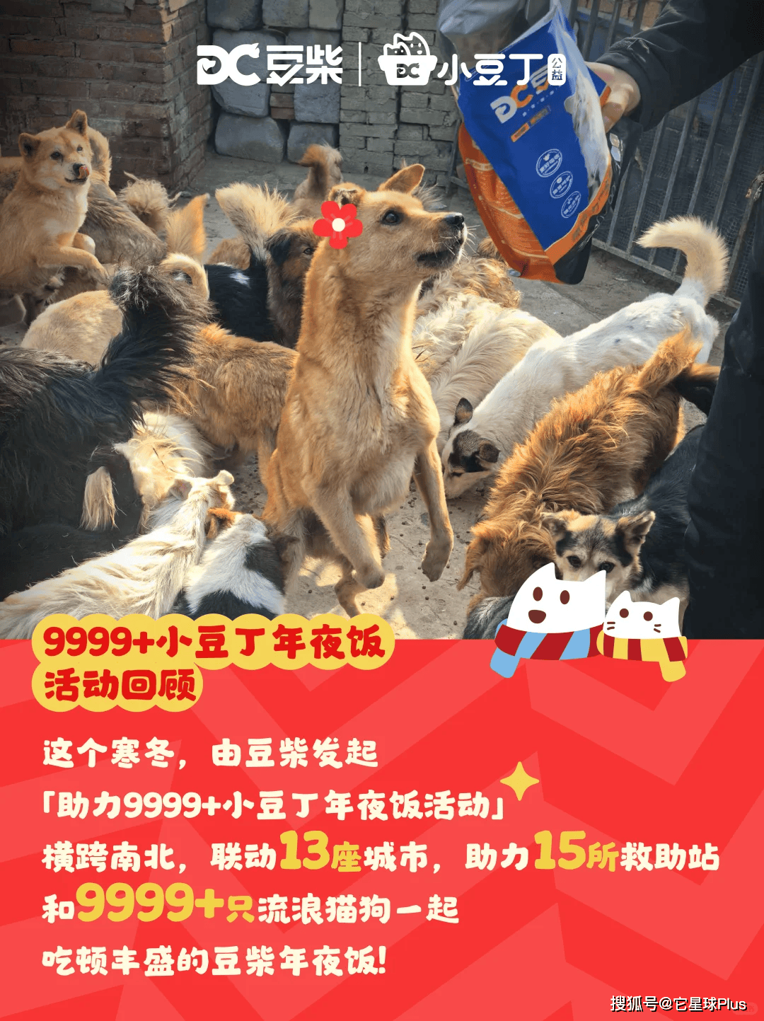 温暖：拆解宠物品牌CNY营销范例CQ9电