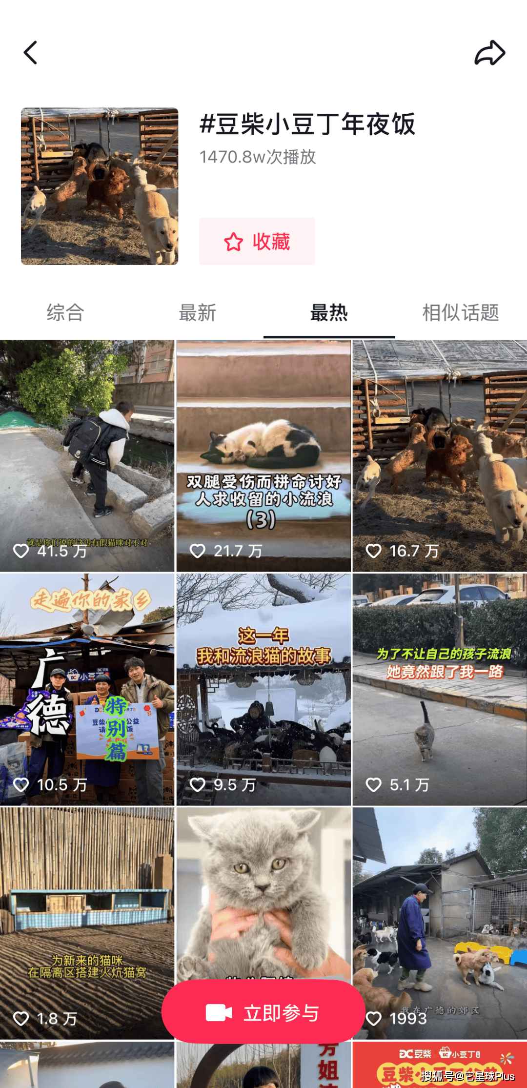 温暖：拆解宠物品牌CNY营销范例CQ9电子登录注册不谈促销只送(图4)