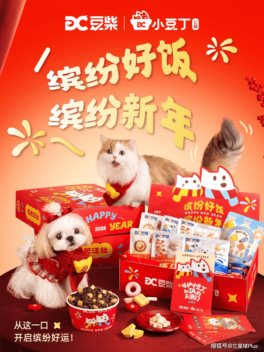 温暖：拆解宠物品牌CNY营销范例CQ9电子登录注册不谈促销只送(图6)