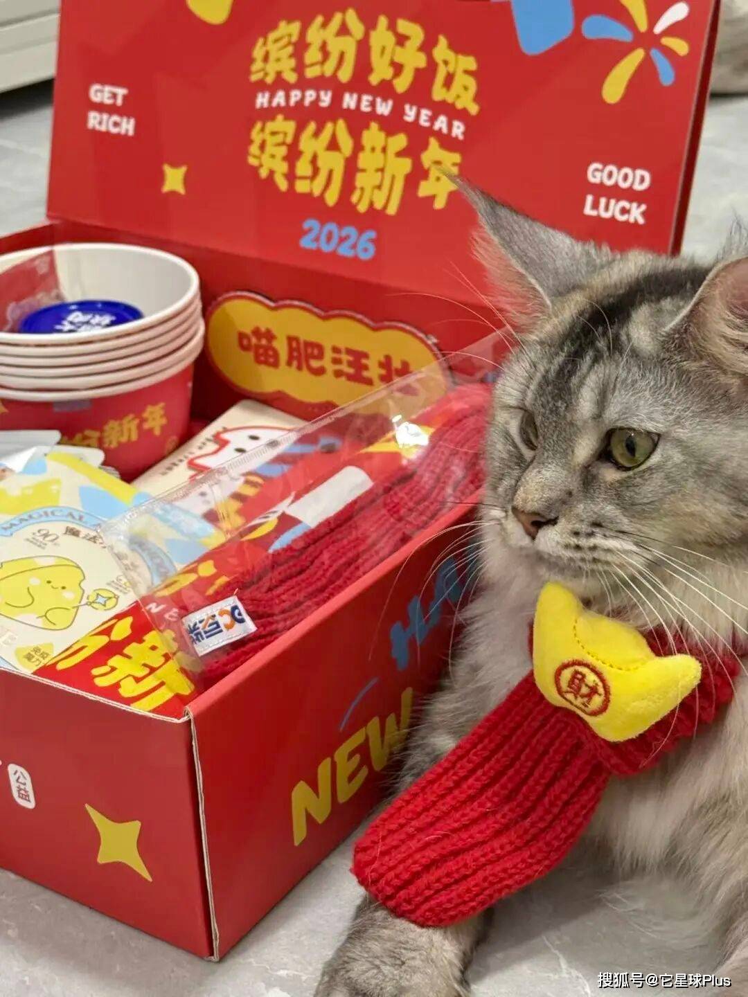 温暖：拆解宠物品牌CNY营销范例CQ9电子登录注册不谈促销只送(图9)