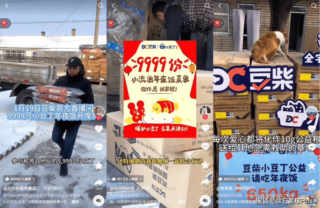 温暖：拆解宠物品牌CNY营销范例CQ9电子登录注册不谈促销只送(图10)